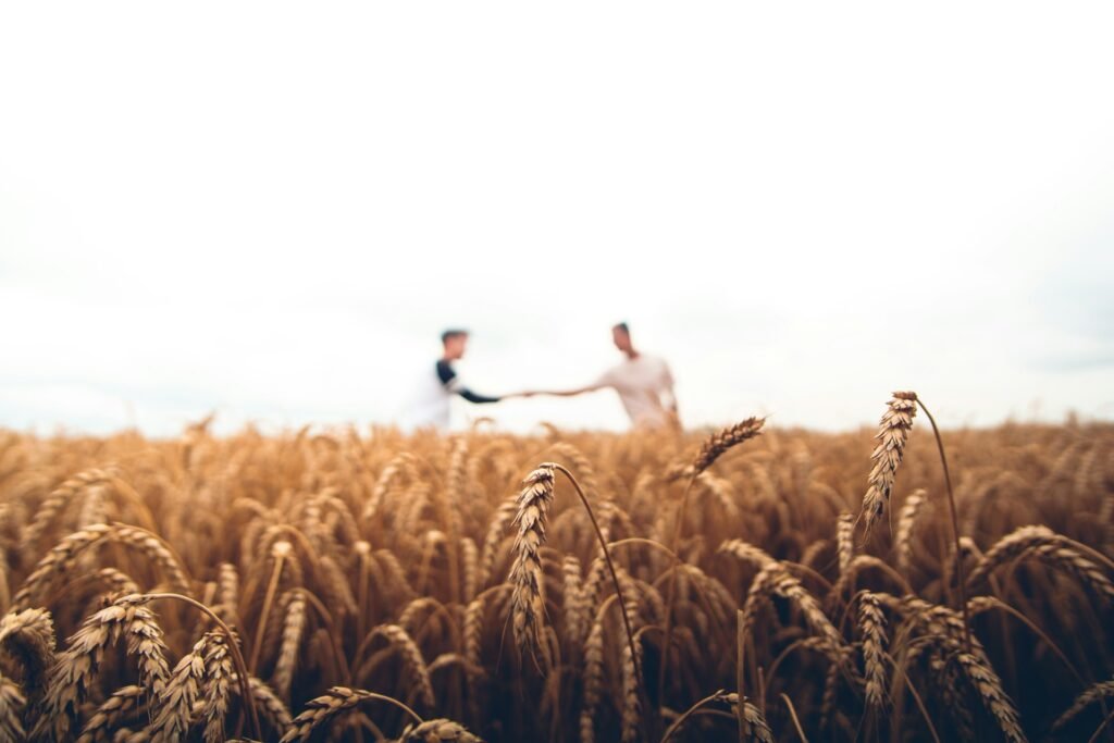 médiation familiale exploitation agricole