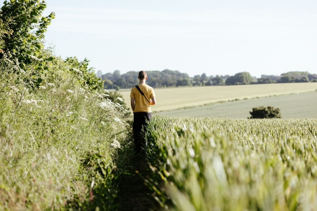 médiation familiale agriculteurs